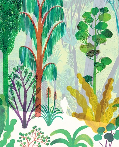 The Forest-Violeta Lopiz, Valerio Vidali(2018년 미국 초판본)